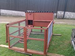 Chicken Coop(4)